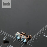 Rothenthurn - Gemstone Earrings
